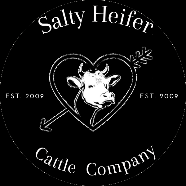 Salty Heifer Cattle Compay